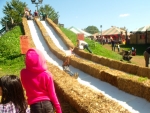 View the album Pumpkin Patch 2011