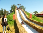 View the album Pumpkin Patch 2011